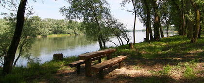 Piknik na obali rijeke Drave